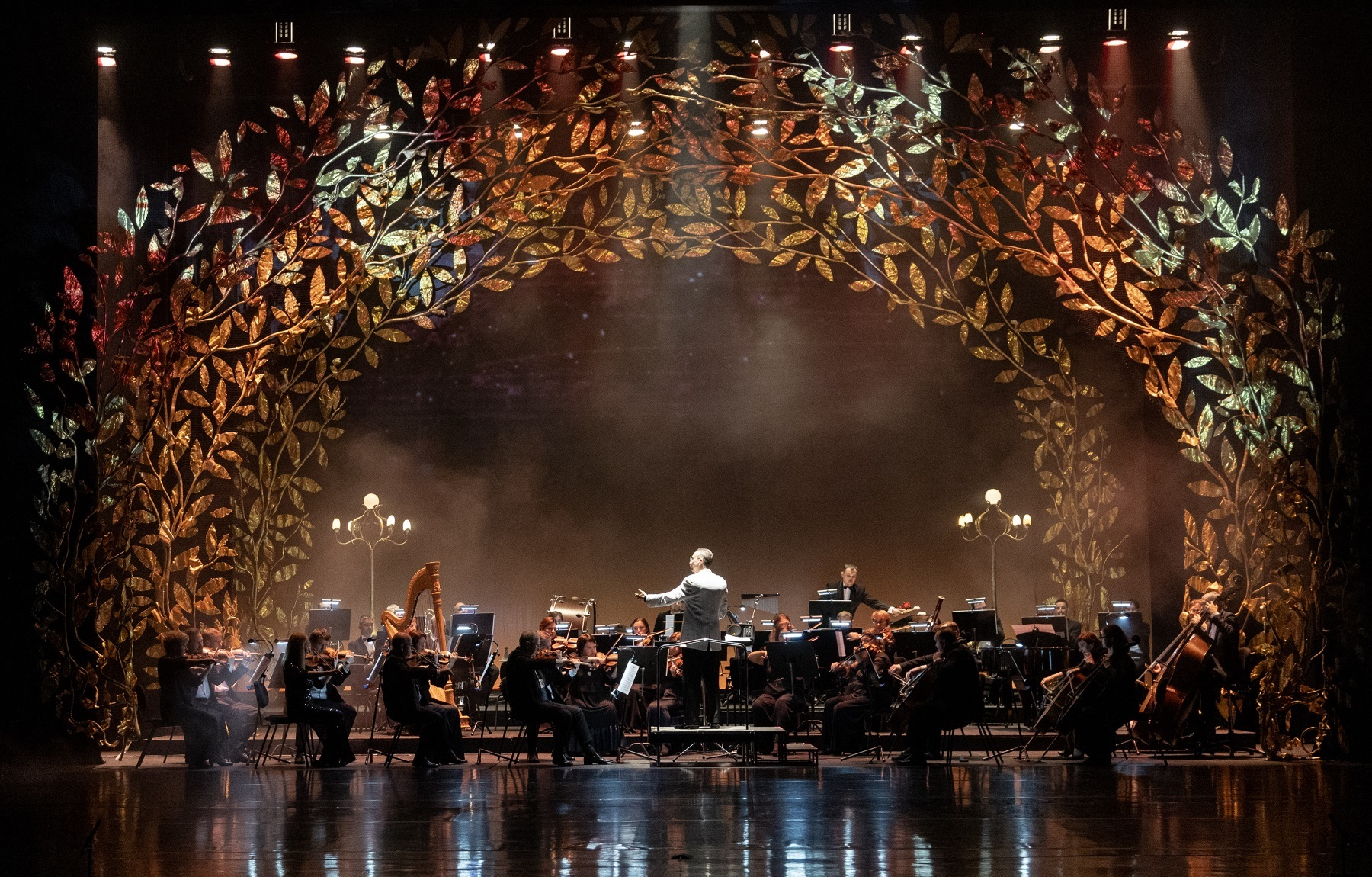 Концерт "Легар-гала" в Москве